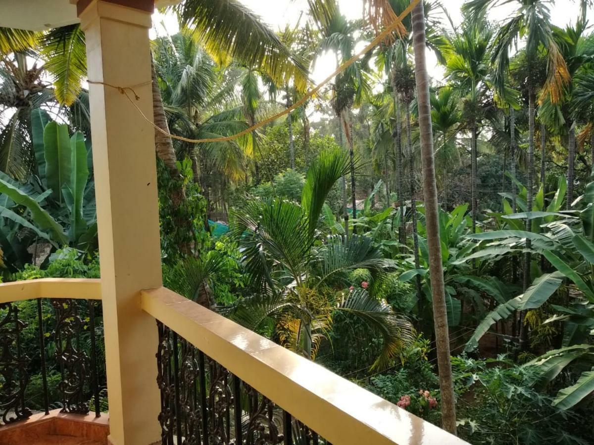 Indraprasth Apartment Palolem Εξωτερικό φωτογραφία